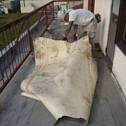 既存防水シート撤去